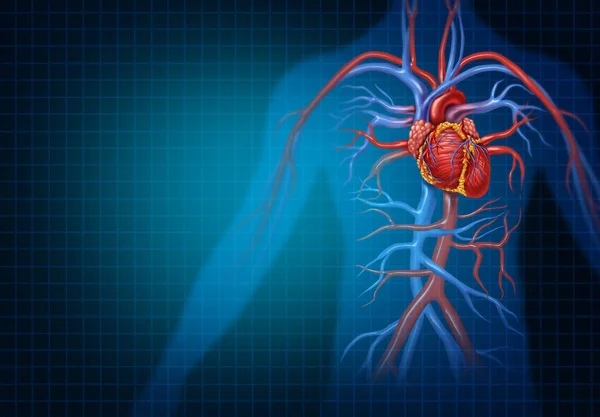 Kardiologia i sercowo-naczyniowych serca koncepcja — Zdjęcie stockowe