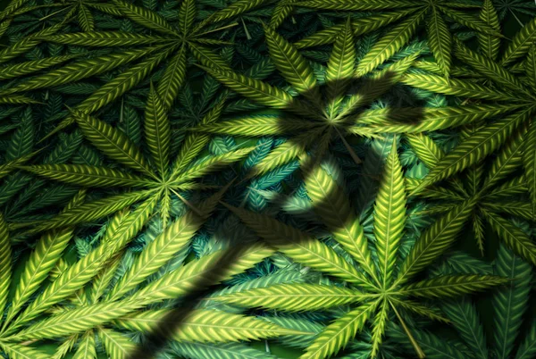 Símbolo comercial de cannabis — Foto de Stock