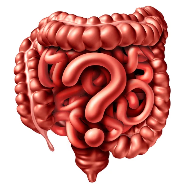 Digestion Question Concept — Stock Photo, Image