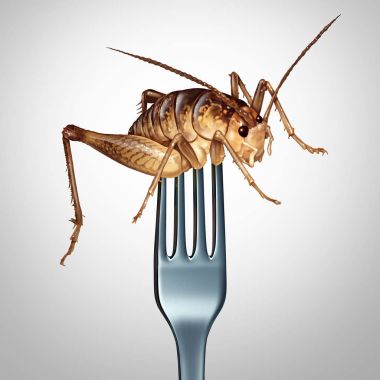 Eating Insects Symbol clipart
