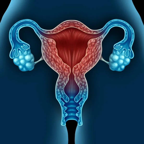 Εμμηνόπαυση έννοιας υγεία γυναικών — Φωτογραφία Αρχείου