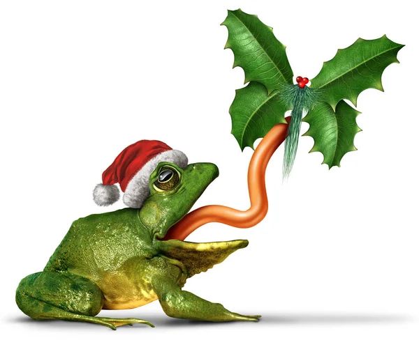 Vánoční žába ikona — Stock fotografie