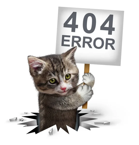 Erro 404 com um gatinho — Fotografia de Stock