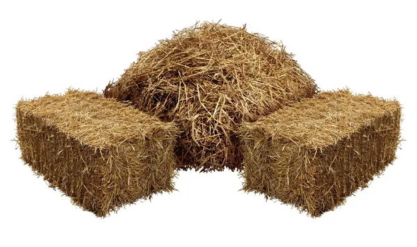 Piles Of Hay — Stock Photo, Image
