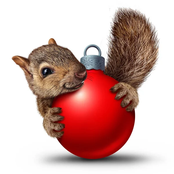 Christmas Cute Squirrel — Stock Photo, Image