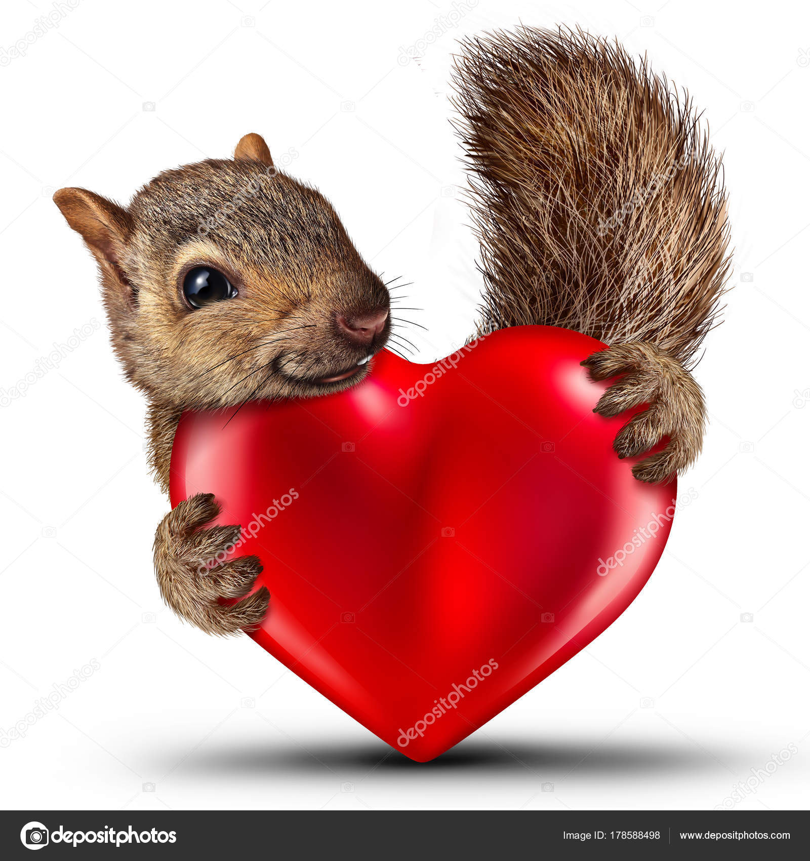 Images valentine squirrel Squirrel Holding Valentine Heart — Stock