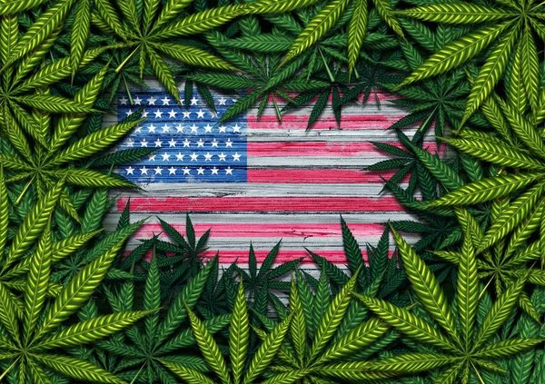 Amerikanska Marijuana — Stockfoto