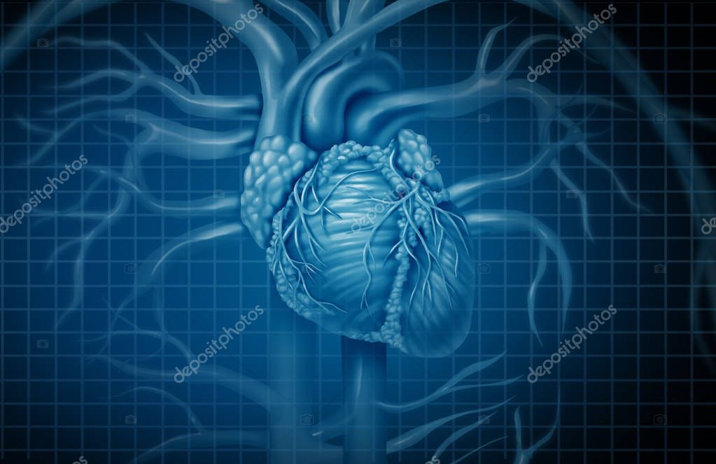 Background: human heart | Human Heart Background — Stock Photo
