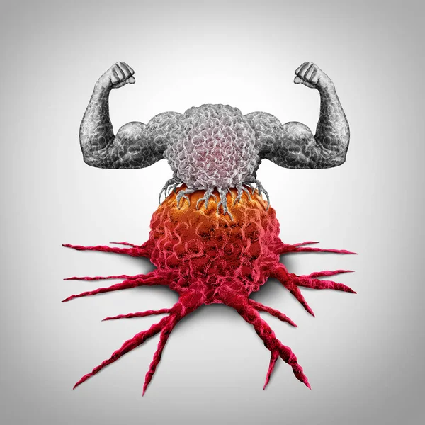 強力な免疫系 — ストック写真