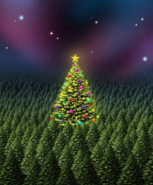 Tarjeta de felicitación árbol de Navidad — Foto de Stock