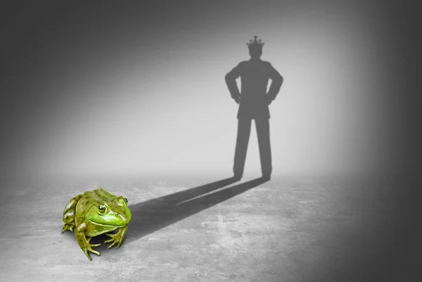 青蛙王子 — 图库照片