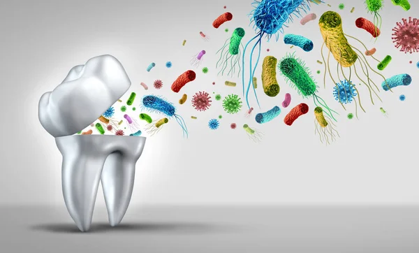 Diş Bakterisi Diş Bakterisi — Stok fotoğraf