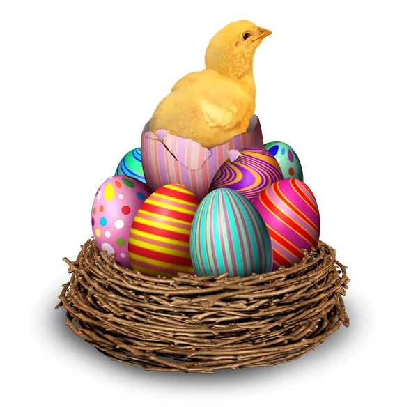 Easter Eggs Hatchling Chick — Stock Photo, Image