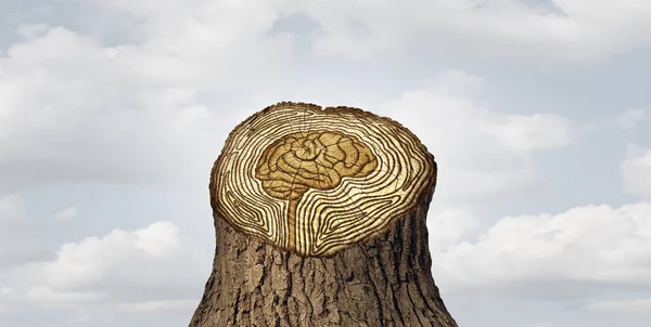 Envejecimiento del cerebro Envejecimiento — Foto de Stock