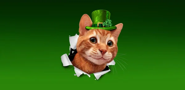 Saint Patricks Irish Cat — 스톡 사진