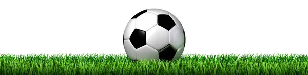 Yaz Bahar Sporu Olarak Çimenlerin Üzerinde Futbol Topu — Stok fotoğraf