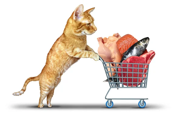 Cat Food Shopping Kitty Kitten Pushing Grocery Cart Pet Protien — Stock Photo, Image