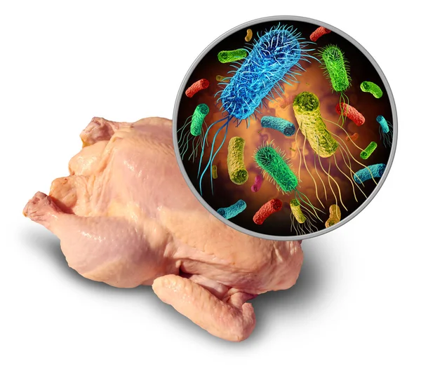 Bfoodbored病原体と生の鶏に細菌や細菌や3Dレンダリング要素と安全コンセプトとして大腸菌やサルモネラで汚染食品を摂取する健康上のリスク — ストック写真