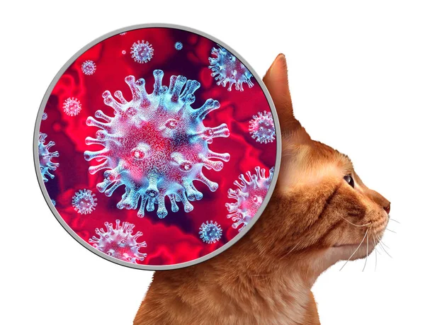 Pet Virus Jako Koronavirová Infekce Kočky Ilustračními Prvky — Stock fotografie