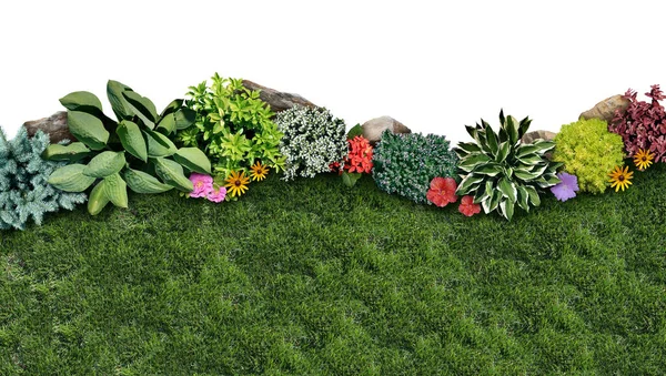 Kerti Kertészeti Táj Kertészeti Design Mint Egy Évelő Gyep Virágágyással — Stock Fotó