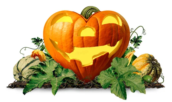 Happy Halloween Love Pumpkin Jack Lantern Pumpkins Leaves White Background — Stock Photo, Image