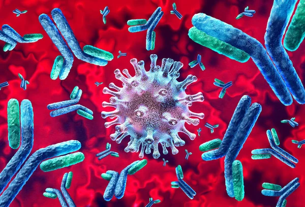 Antikropp Och Immunglobulin Koncept Som Antikroppar Angriper Smittsamma Virusceller Och — Stockfoto