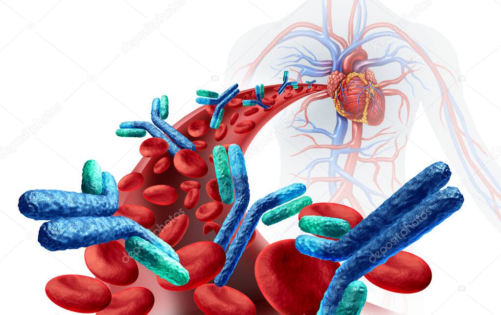 Antibodies in blood inside the human body related to the immune system