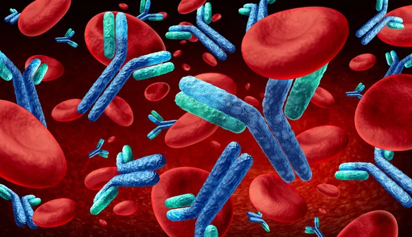 Anticorpi Nel Sangue Concetto Immunoglobulina Come Anticorpi Che Scorrono All — Foto Stock