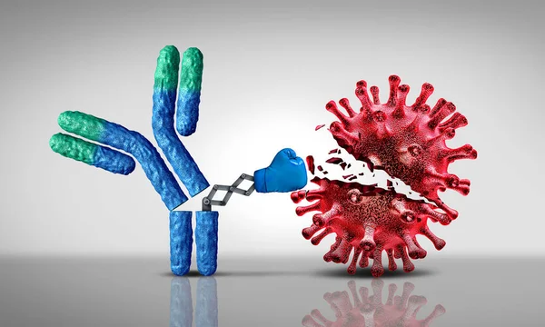 Antobody Fighting Virus Immunoglobulin 컨셉트는 전염성 바이러스 세포와 병원균을 공격하는 — 스톡 사진