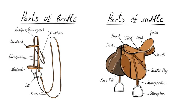 Pièces de selle et bride. Outil de piratage d'équitation vectoriel — Image vectorielle