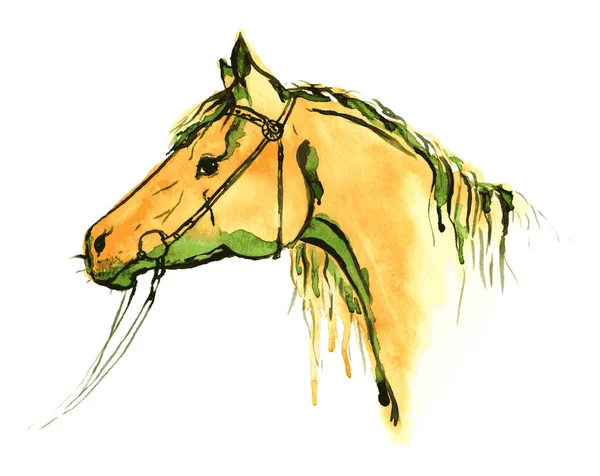 Aquarelle peinture à la main tête de cheval — Image vectorielle