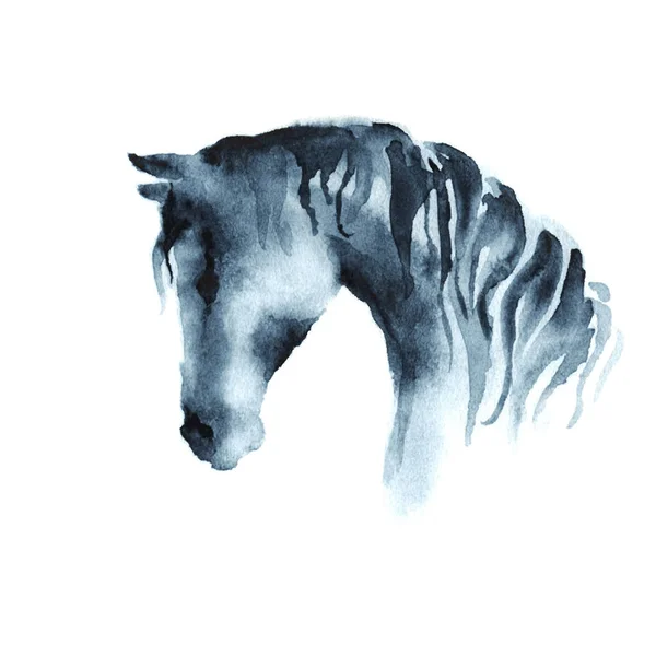 Wet watercolor horse head. — Stock Vector