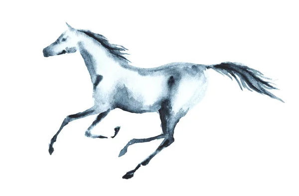 Acuarela húmeda galopando caballo . — Archivo Imágenes Vectoriales
