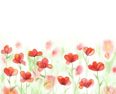 Suluboya kırmızı haşhaş alanla.