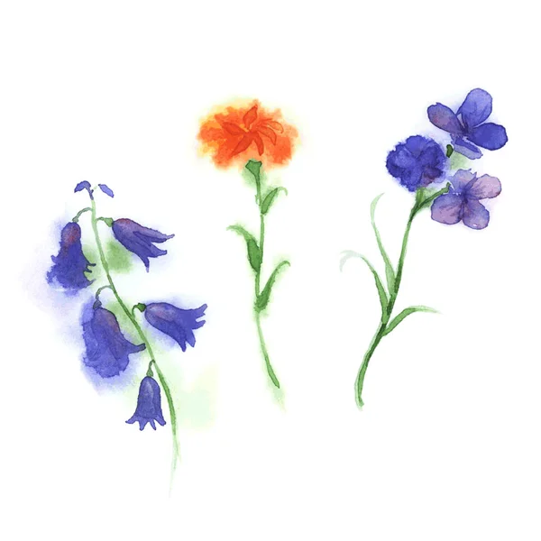 Aquarell aus drei violetten, gelben und blauen Blumen. — Stockvektor