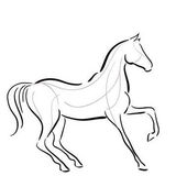 Silhouette des schwarzen und weißen Pferdes in Bewegung mit Linien.