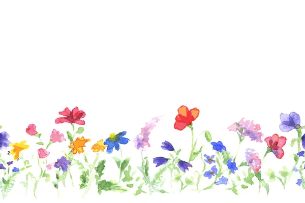 Háttér, rajz, akvarell vadvirágok. — Stock Vector