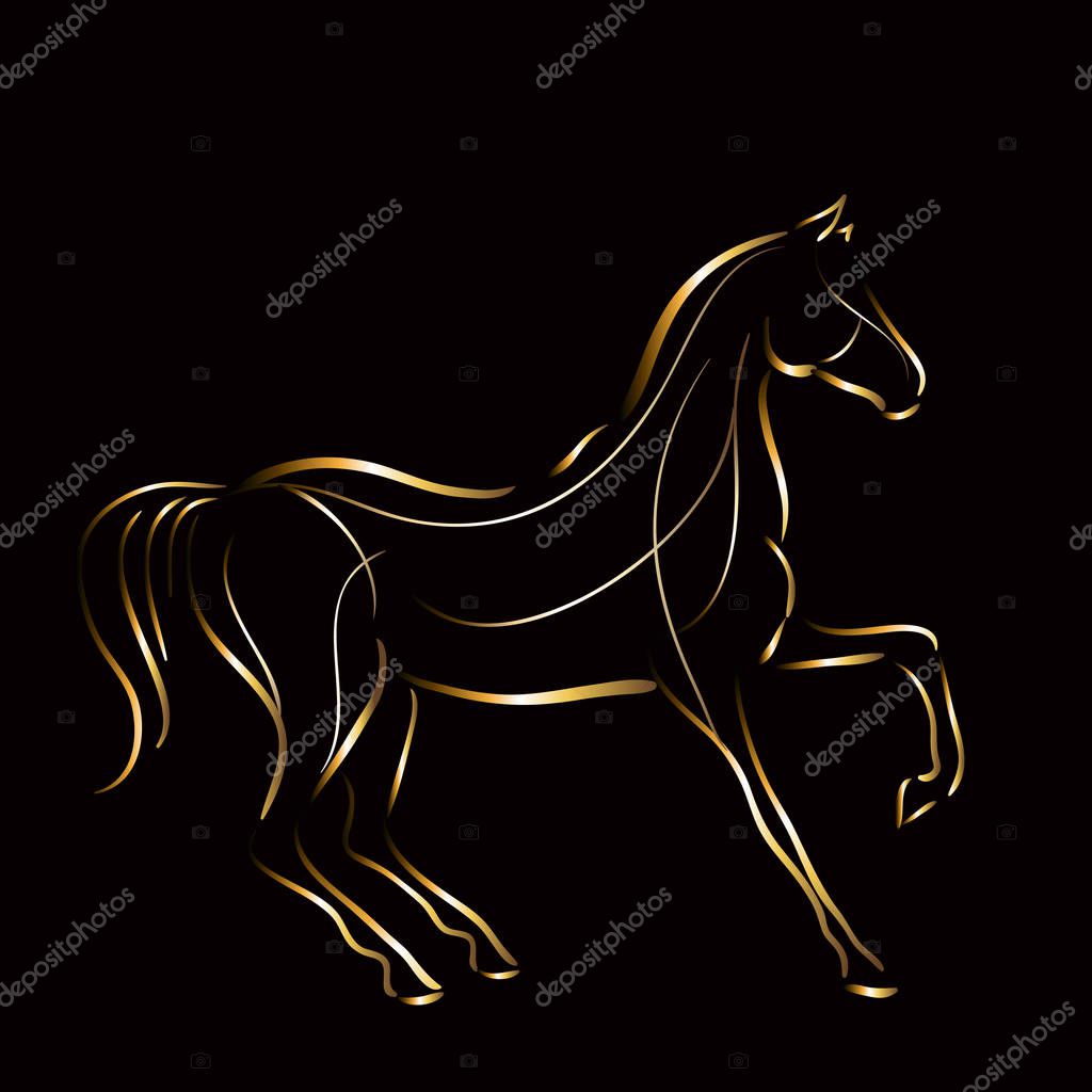 Vector hand drawn illustration