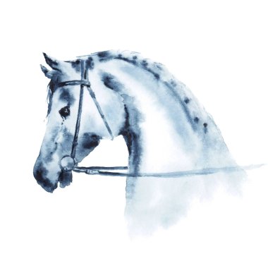 Islak sulu boya at başı atlı spor at başlığı ile. 