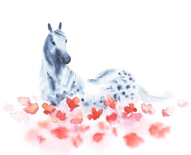 Watercolor dapple grey horse on the field of red poppies flowers. clipart