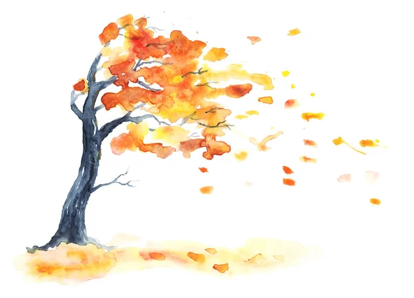 Aquarel herfst boom met gele en oranje bladeren. — Stockfoto