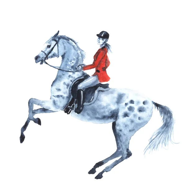 Akvarelu rider a tygrovaná šedý kůň na bílém pozadí. Jezdec dívku na chovu se hřebec. — Stock fotografie