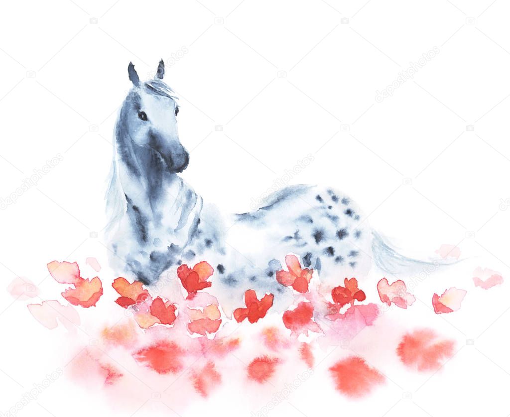 Watercolor dapple grey horse on the field of red poppies flowers.