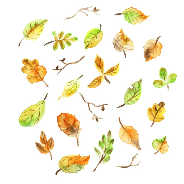 Collectie prachtige kleurrijke aquarel Herfstbladeren. — Stockfoto