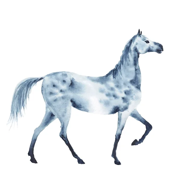 水彩斑纹灰色马. — 图库照片