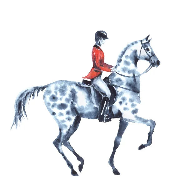 Aquarell-Reiter und Apfelschimmel auf Weiß. Reiter in roter Jacke auf Hengst. — Stockfoto