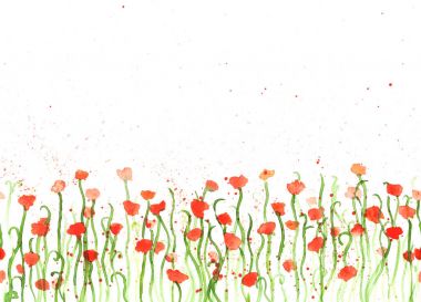 Arka plan ile el suluboya kırmızı haşhaş beyaz çizimi. 