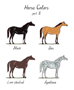 ATI renk tablosu üzerinde beyaz dizi. At coat renkler metin ile.