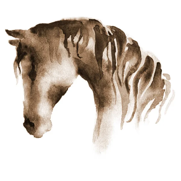 Aquarell Handmalerei Pferdekopf auf Weiß. — Stockfoto