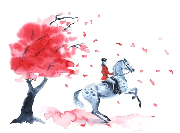Akwarele jesienne drzewo czerwone listowie i rider i na Tiger grey hodowli się koń na białym. — Zdjęcie stockowe